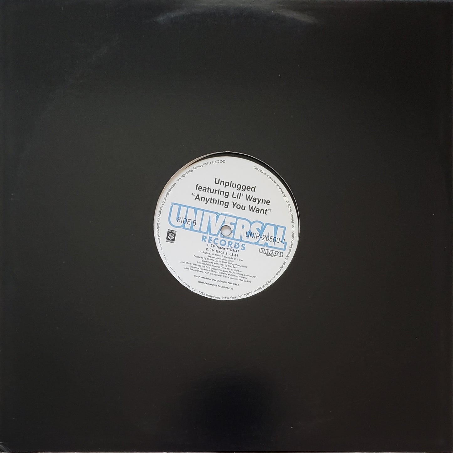 Unplugged - Lil' Wayne "Anything You Want" (12" LP Vinyl) RARE!!