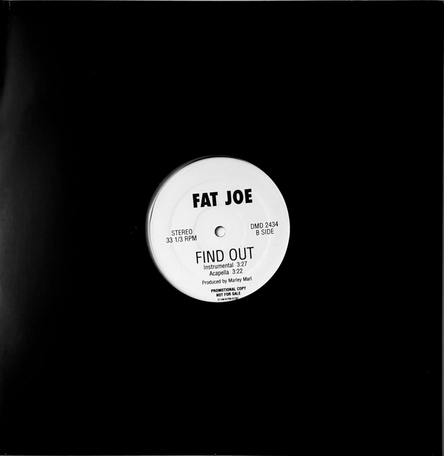 Fat Joe Find Out PROMO SINGLE (12"Vinyl) RARE!!