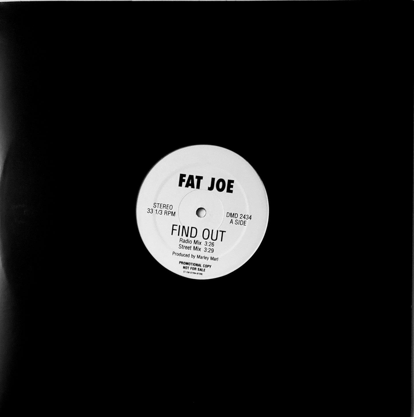 Fat Joe Find Out PROMO SINGLE (12"Vinyl) RARE!!