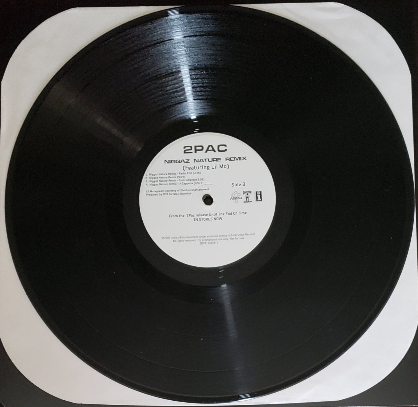 2 Pac "Letter To My Unborn/Niggaz Nature Remix" (12" Vinyl)