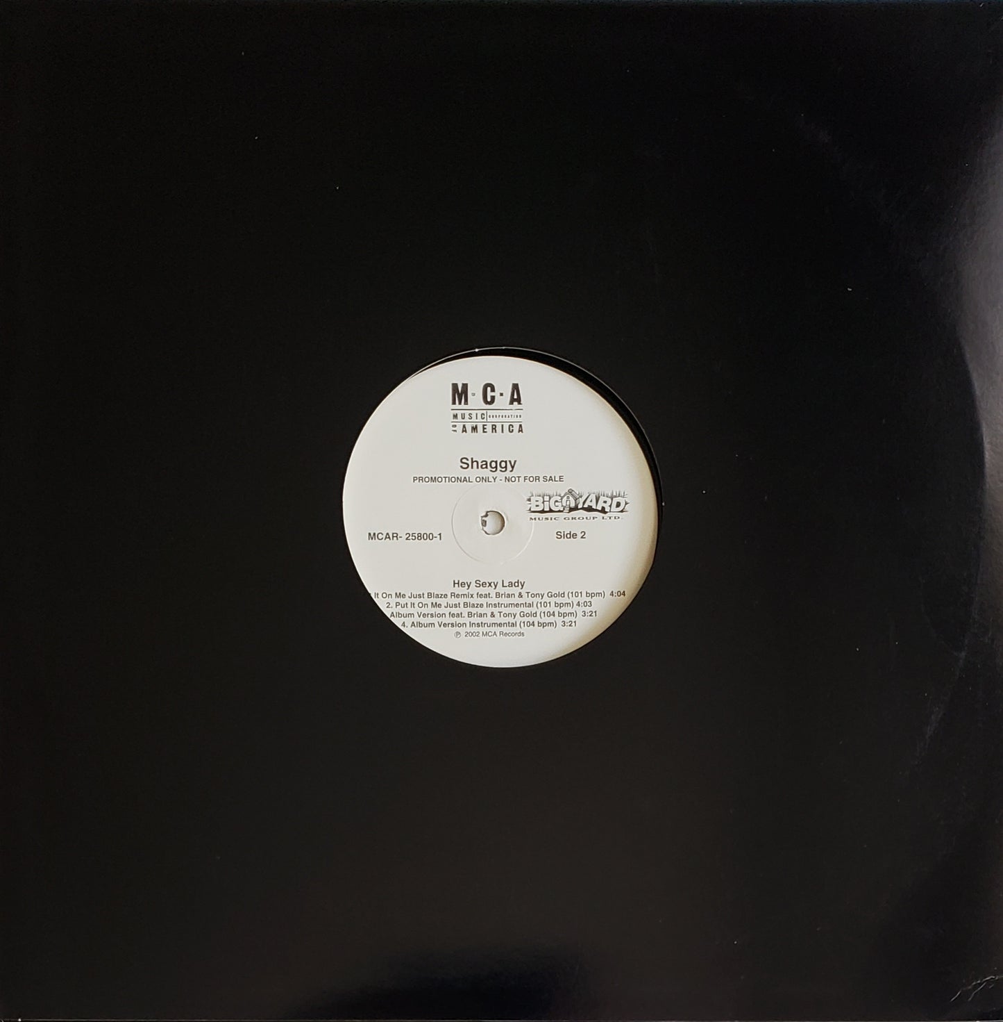 SHAGGY "Hey Sexy Lady/Put It On Me (12"Vinyl) ORIGINAL!!