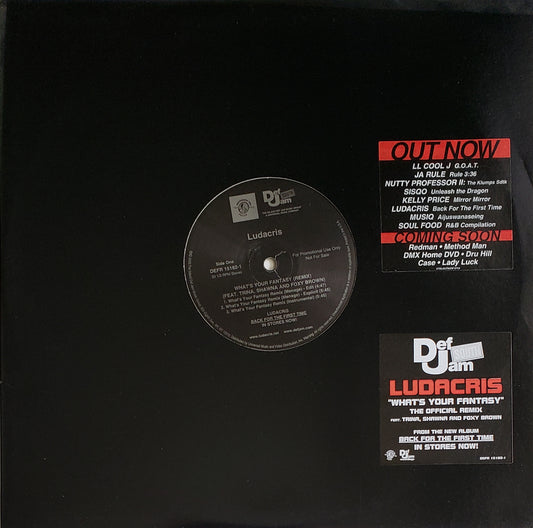LUDACRIS "What's Your Fantasy REMIX/Ho" (12"Vinyl)
