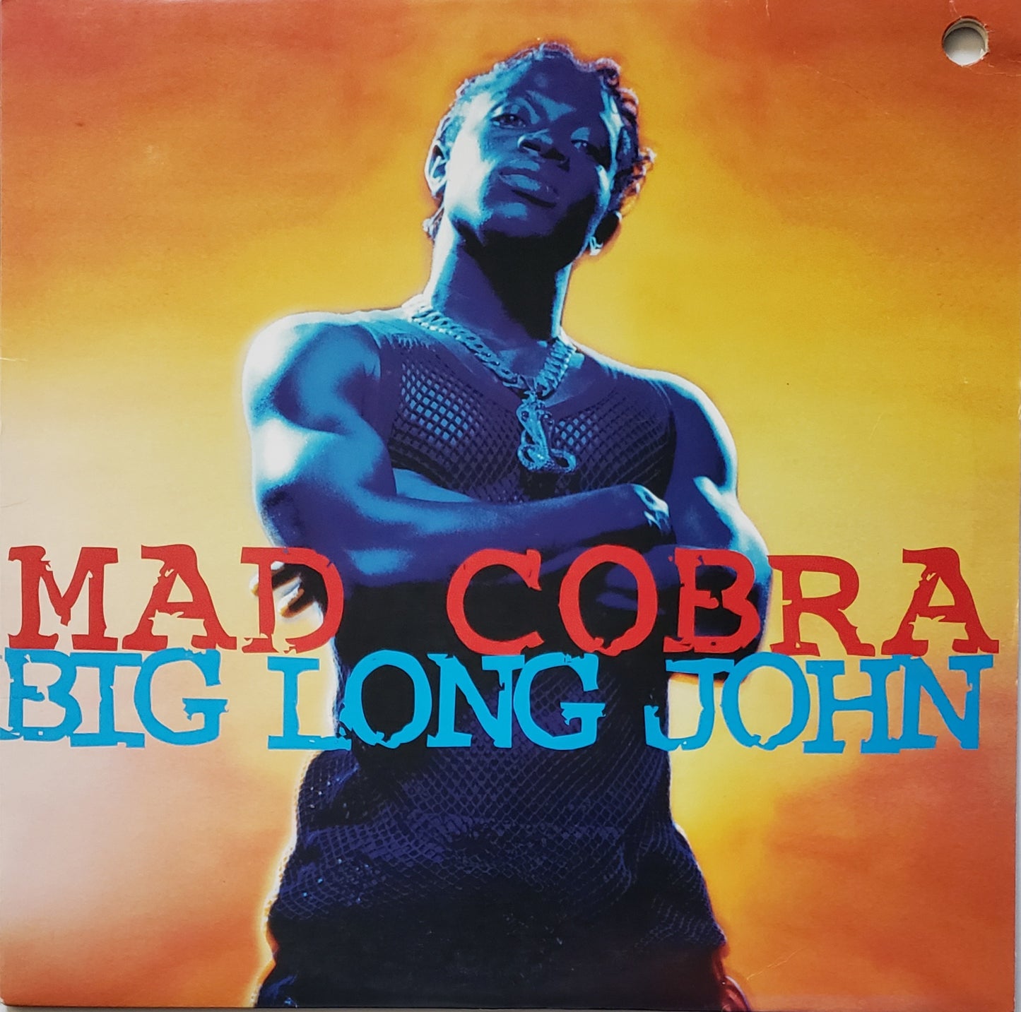 MAD COBRA-BIG LONG JOHN/PLANT IT (12" Vinyl) DANCEHALL