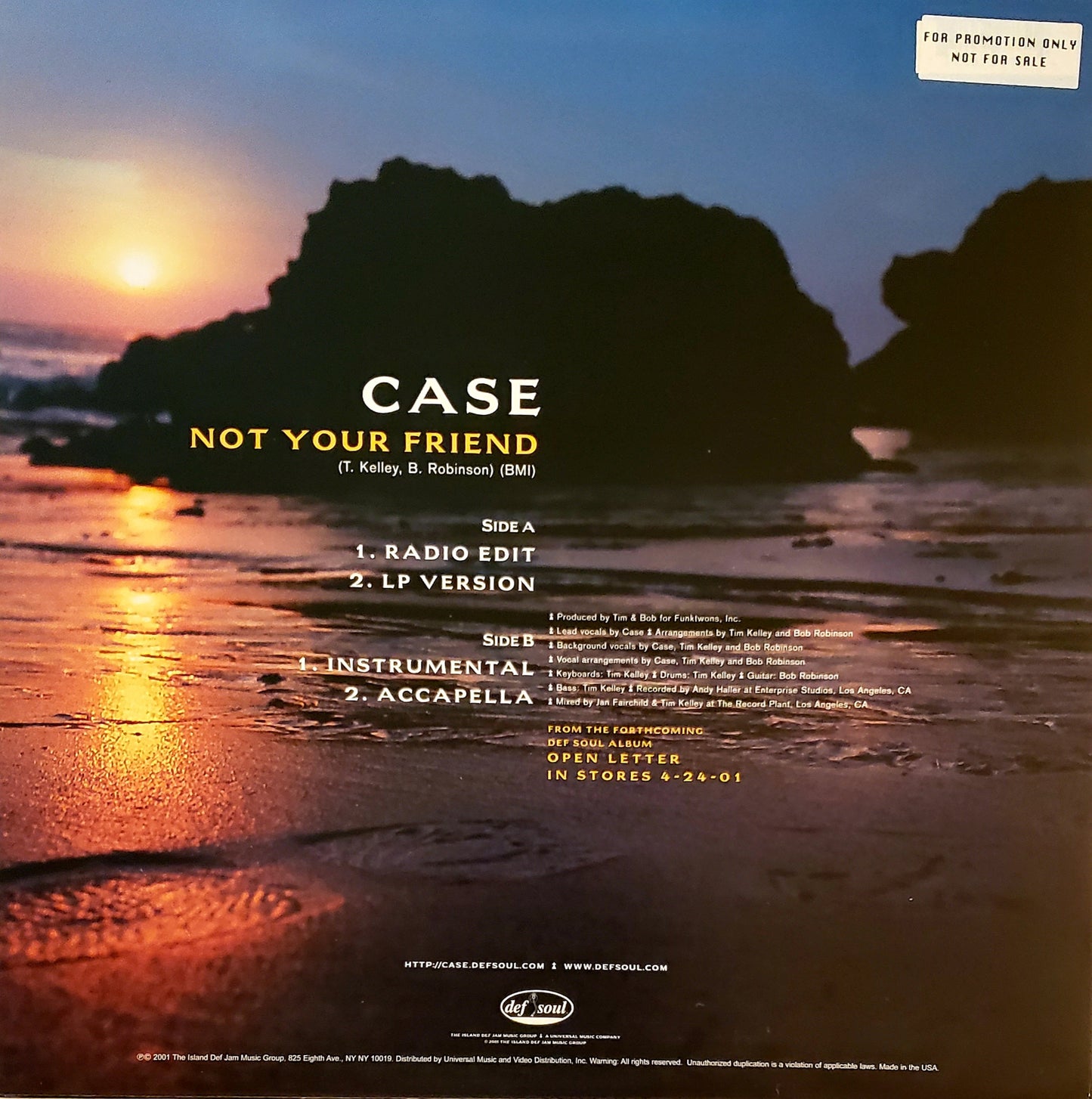 CASE -" Not Your Friend" (12" Vinyl Record)